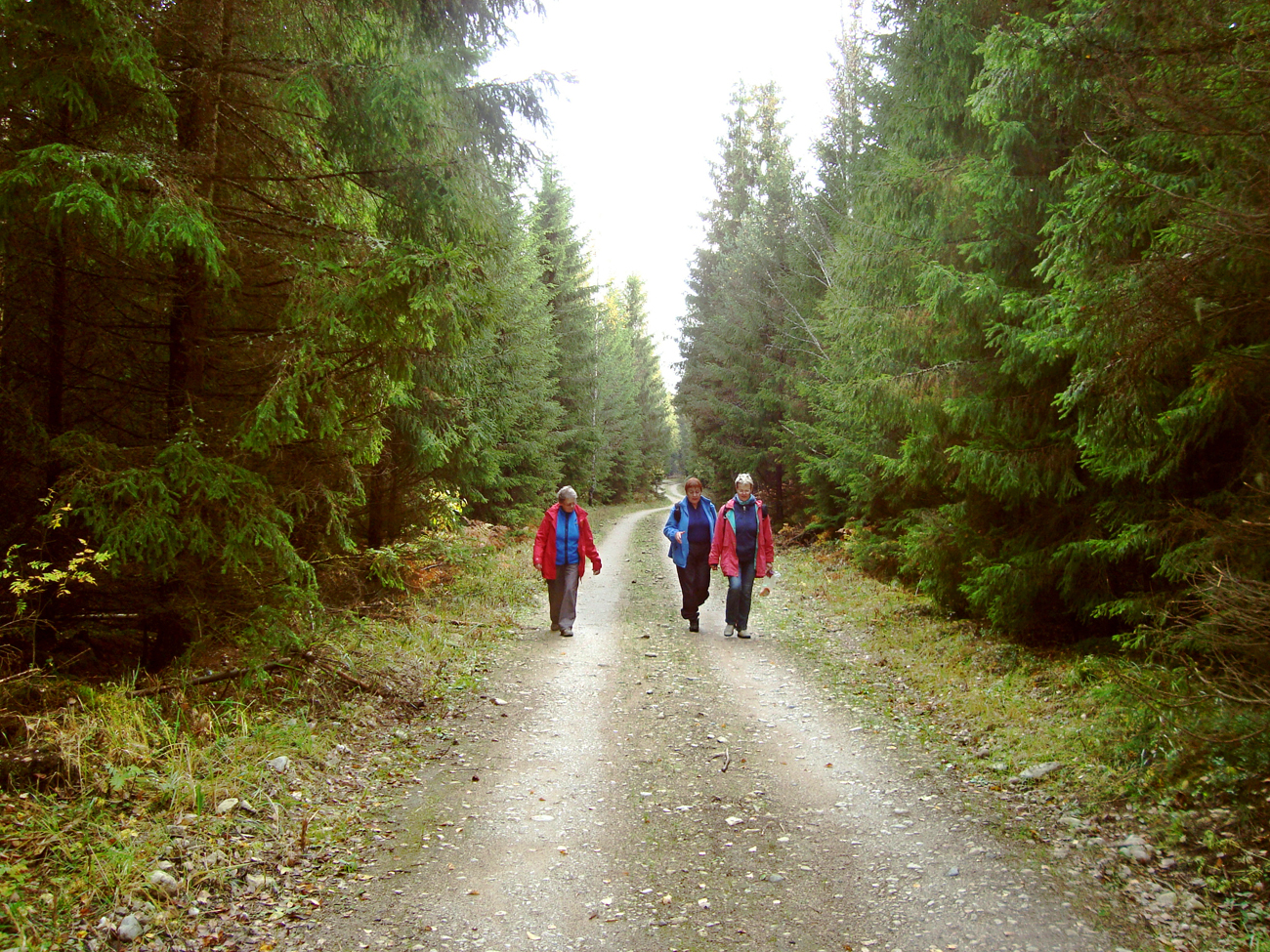 DSC03159_Kautla_tee.jpg