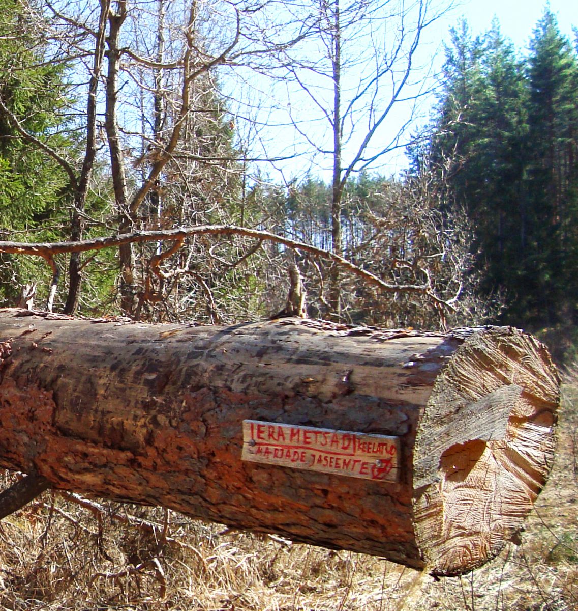 DSC06218_ERAMETS-44(1).jpg