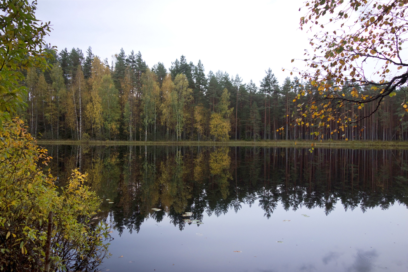 001_Vaike_Palojarv_12-13_10_2020-006-3.jpg