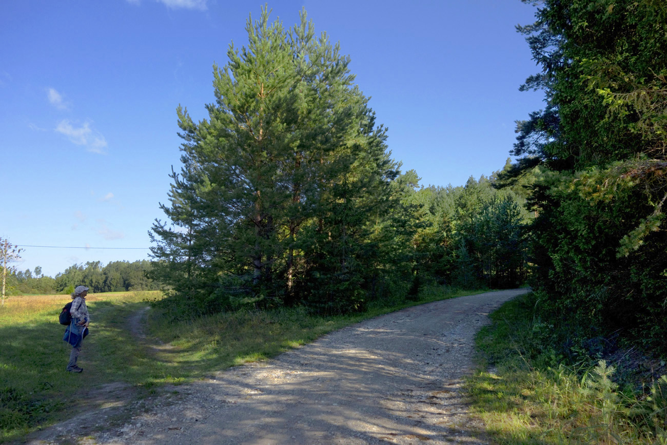 02_Aru_m6isast-Malgi_kyla_20-22_08_2018-68-222.jpg