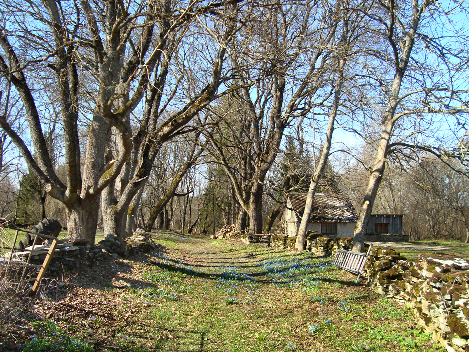 II_DSC05517_J6elahtme-Koila_kyla_19_04_2014-3.jpg